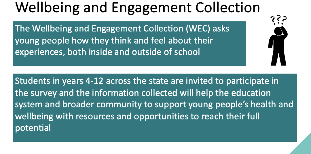 Wellbeing and Engagement Collection Survey